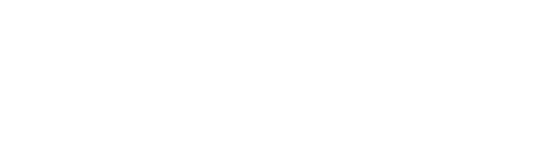 peoplenetlogohvid msi png cropped
